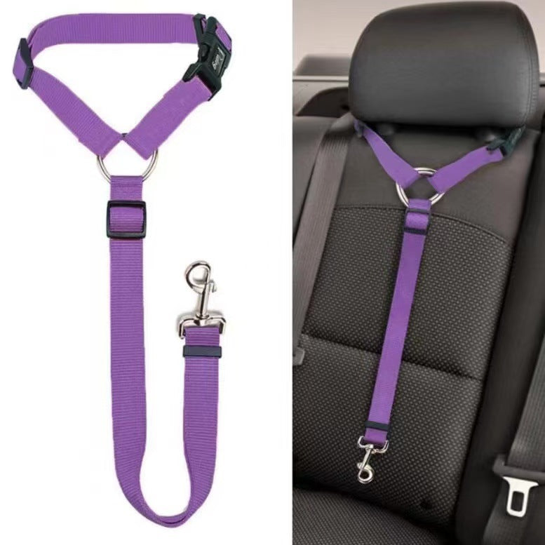 Adjustable nylon pet tether lead, close-up detail view