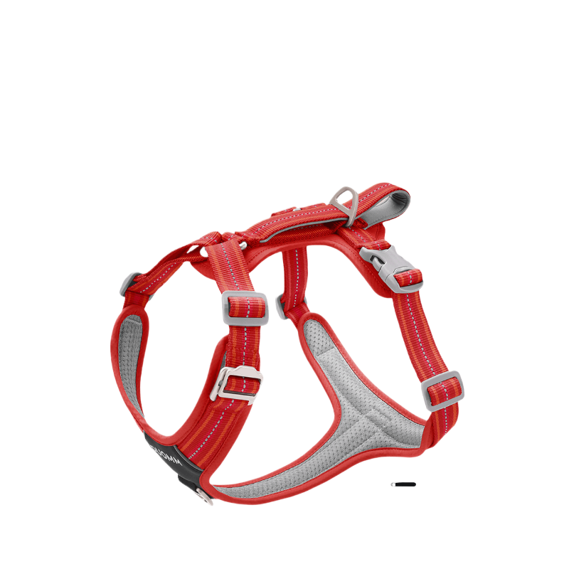 Y shape no pull dog harness in orange with front buckle