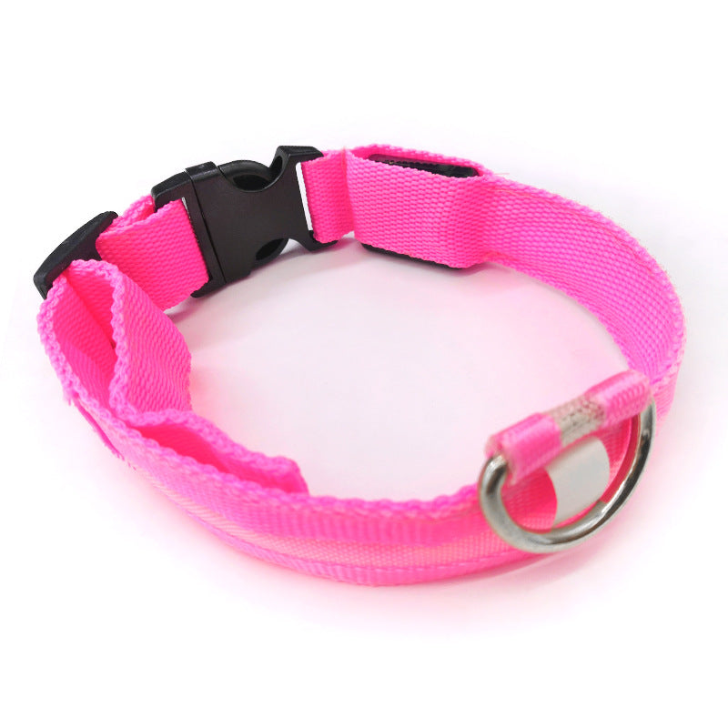 Light up LED dog collar glowing red with reflective strip