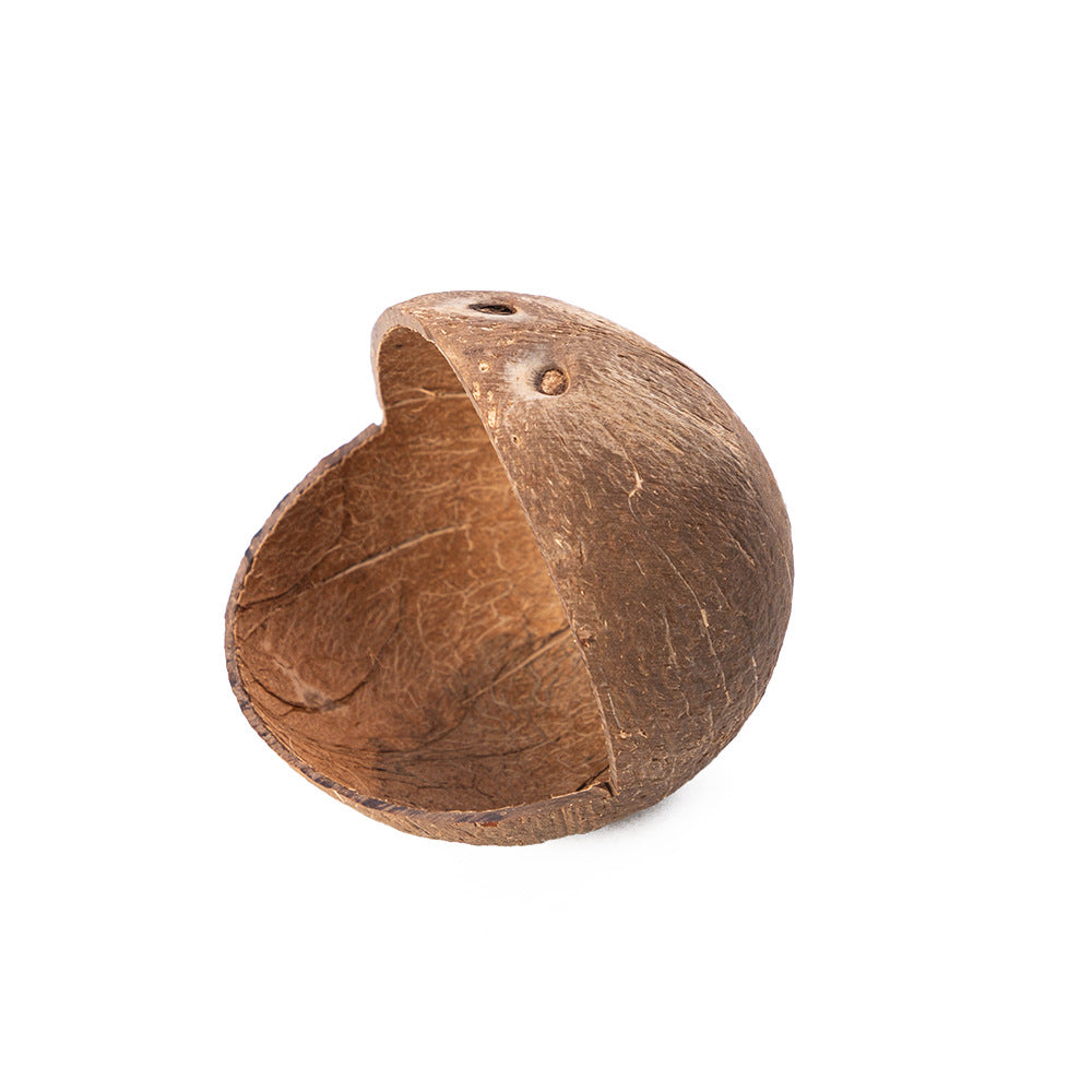 Natural coconut shell reptile hide, product detail photo