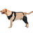 Adjustable Dog Leg Joint Protection Cover
