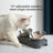 Stainless Steel Pet Feeder Slanted Neck Bowl