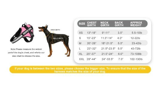 Reflective dog harness and lead set in 9 colour options