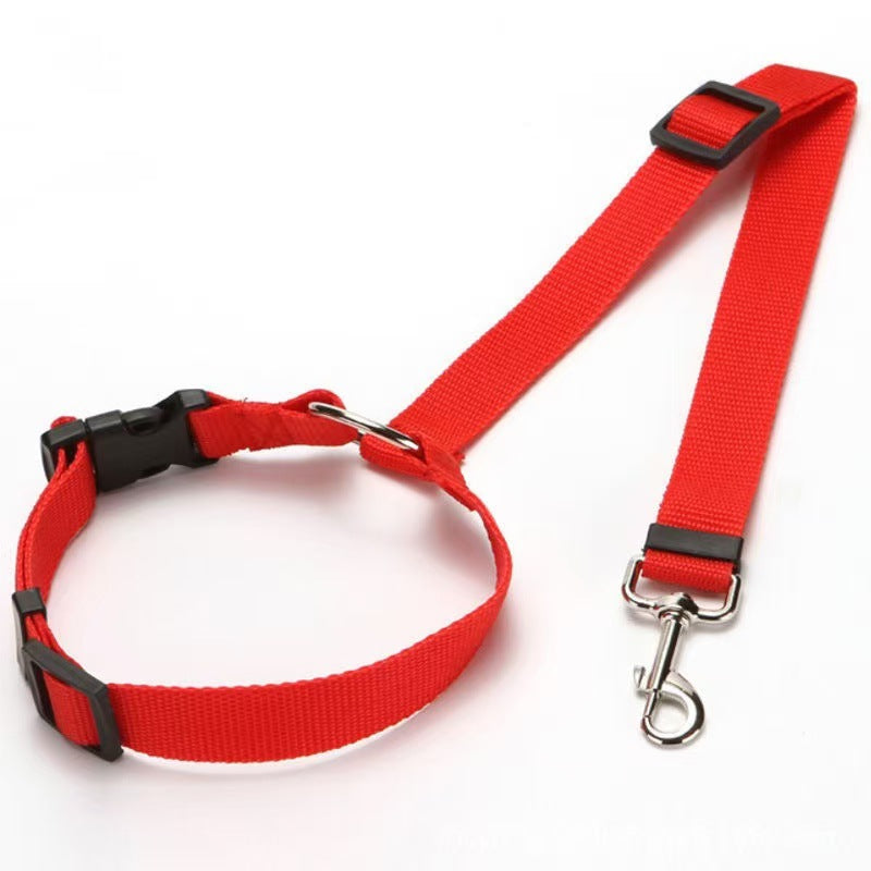 Adjustable nylon pet tether lead, close-up detail view