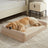 Orthopaedic dog bed with bolsters