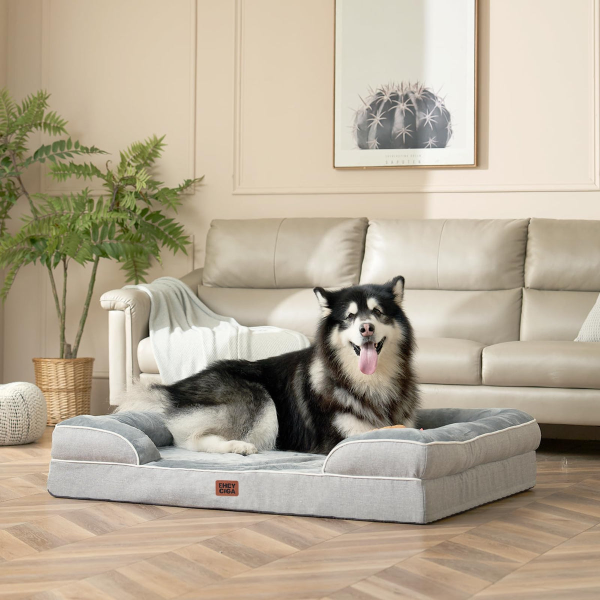 Orthopaedic Extra Large Dog Bed, Waterproof Washable Memory Foam