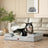 Orthopaedic Extra Large Dog Bed, Waterproof Washable Memory Foam