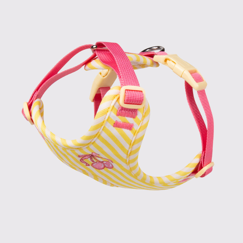Sweet vest harness for small dogs, ideal for everyday use