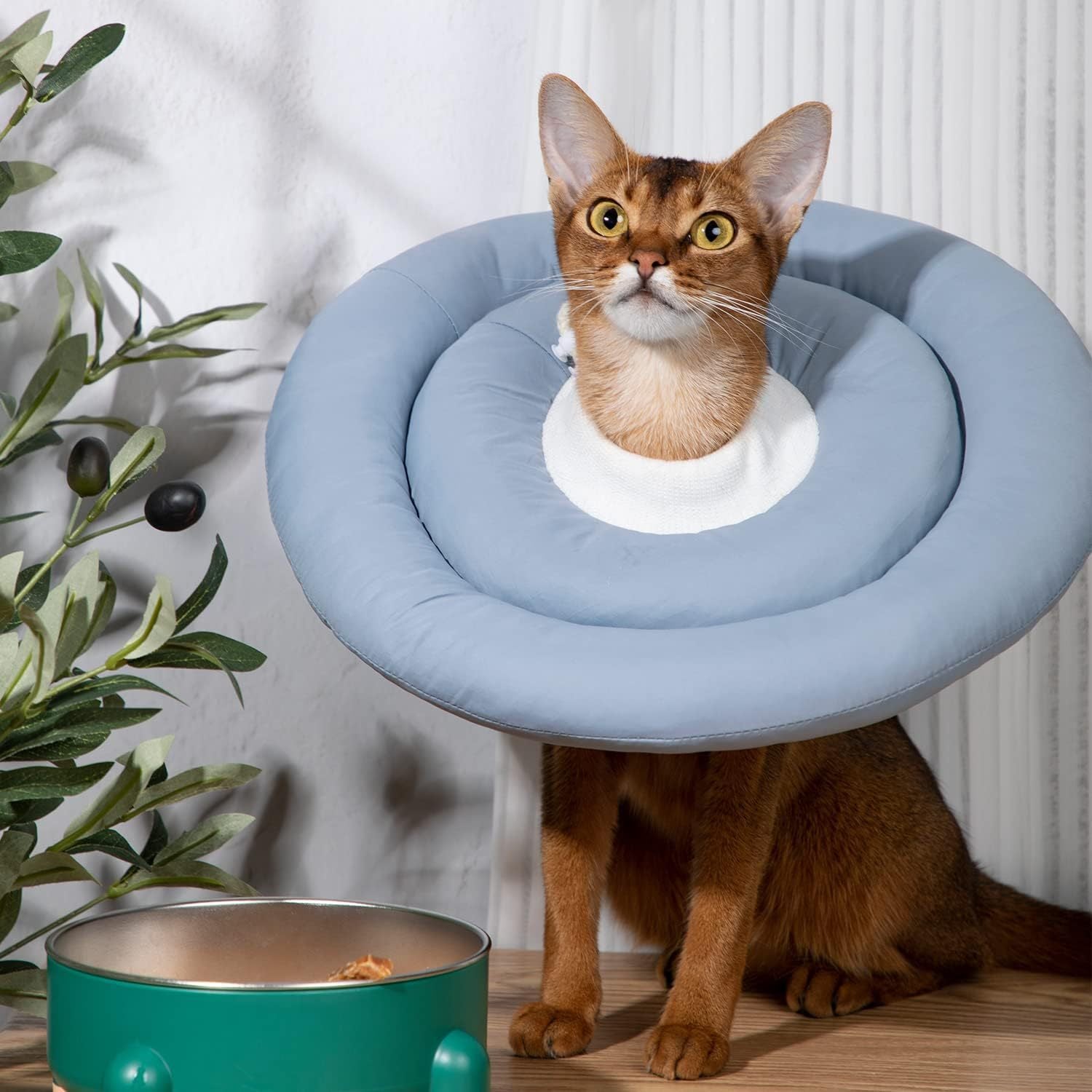 Lightweight waterproof pet recovery cones in many colours
