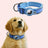 Nylon dog collar with built-in AirTag holder, tag not included, product image 22