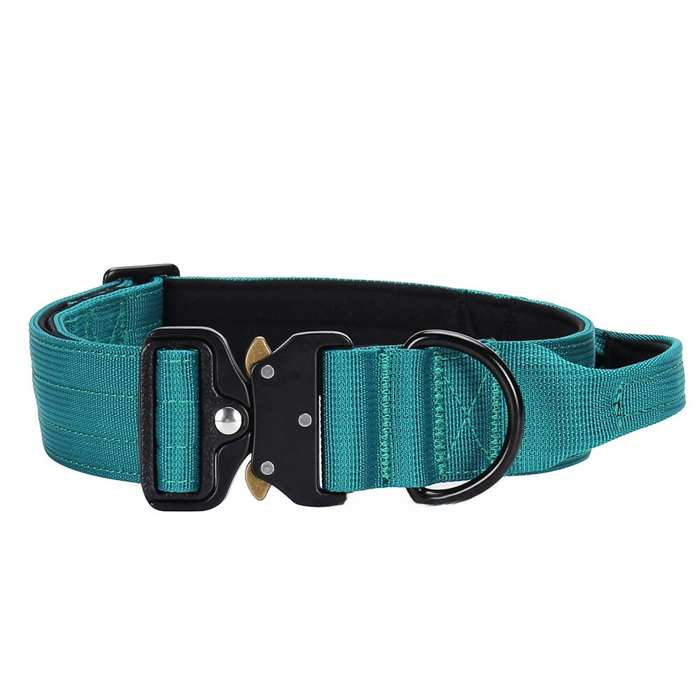 Tactical nylon dog collar with cobra buckle in Orange, top view