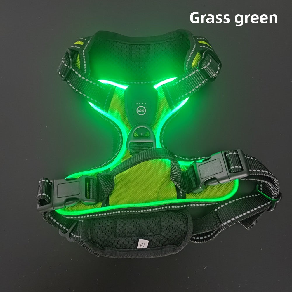 Glowing adjustable dog chest harness, close-up detail view