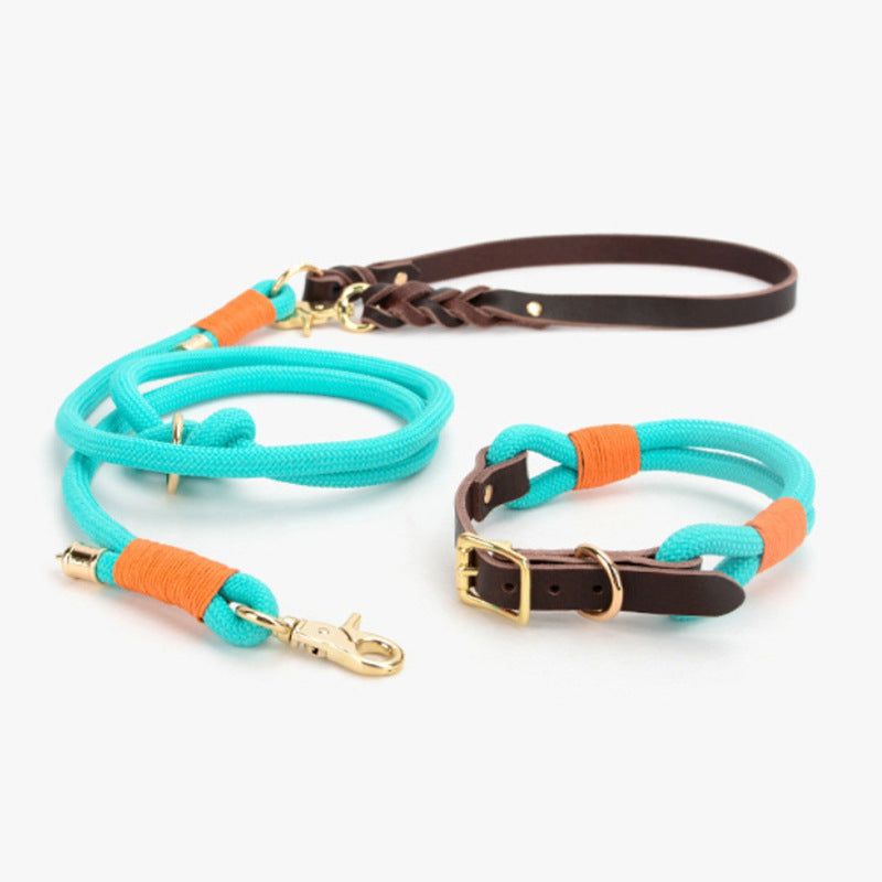 Stitched nylon dog collar with leather trim and metal buckle