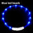USB rechargeable LED silicone dog collar in Blue Fibre Optic, close-up detail
