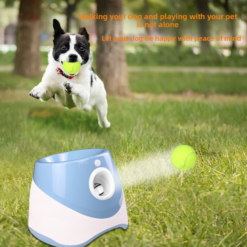 Automatic Tennis Ball Throwing Machine for Cats and Play