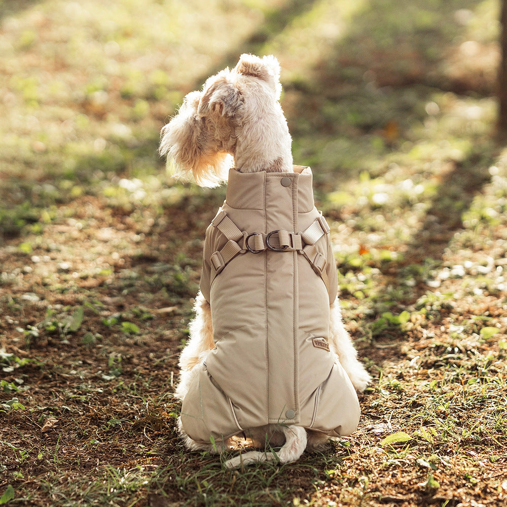 Small dog wearing a thick windproof padded coat in khaki