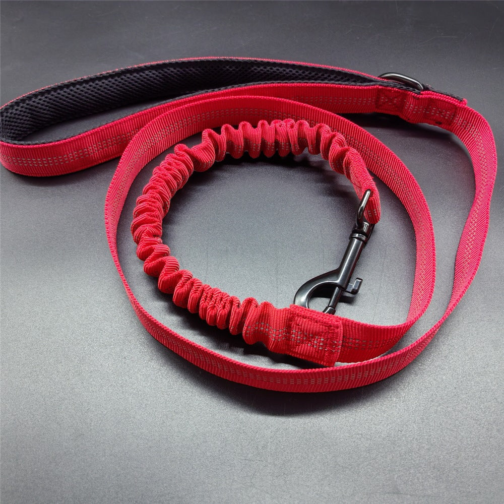 Light up fibre optic dog harness glowing at night, view 35