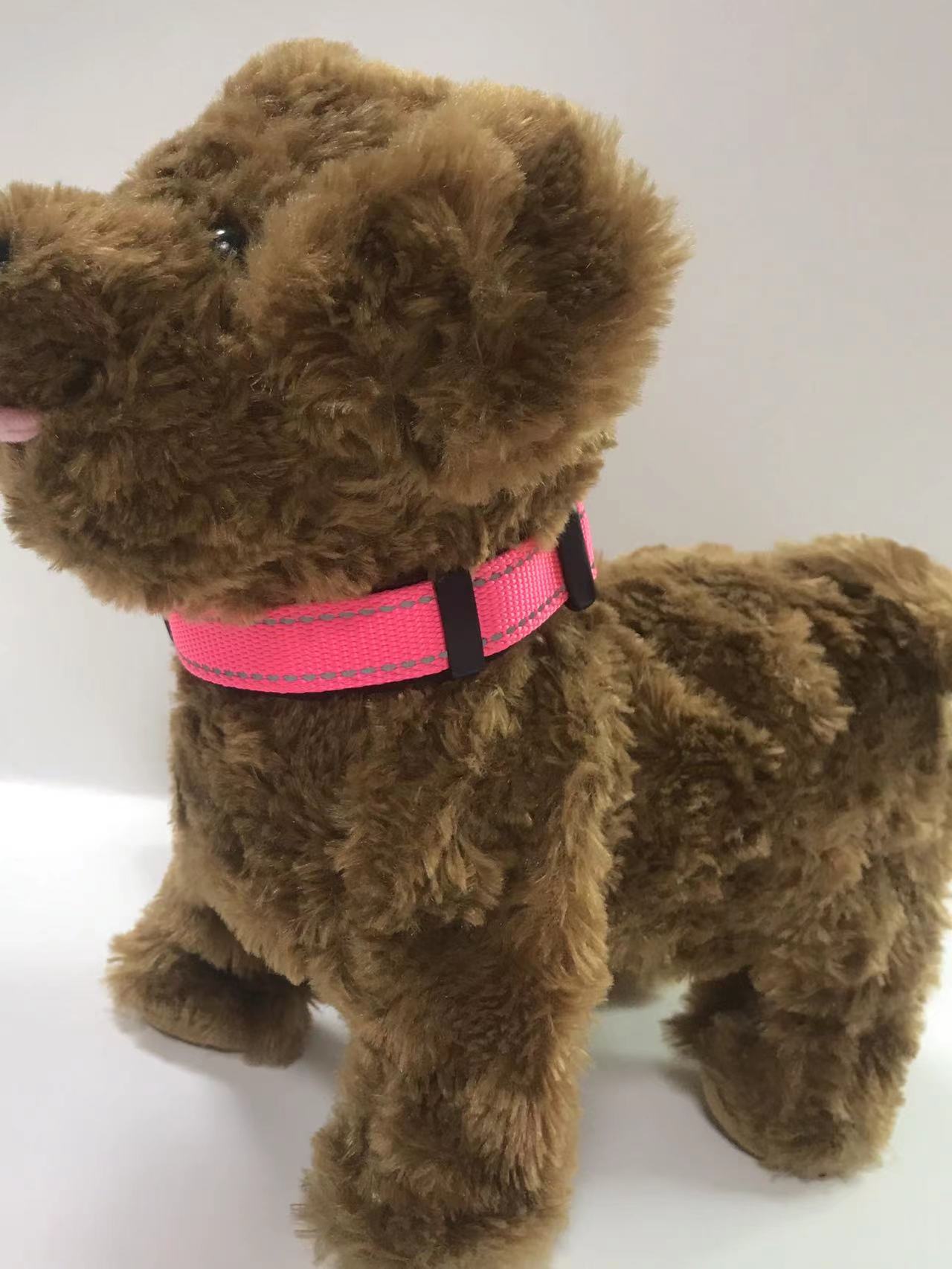Adjustable buckle pet collar in bright colours for dogs, view 23