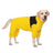 Four-leg waterproof raincoat for large dogs in Yellow, showing size and shape