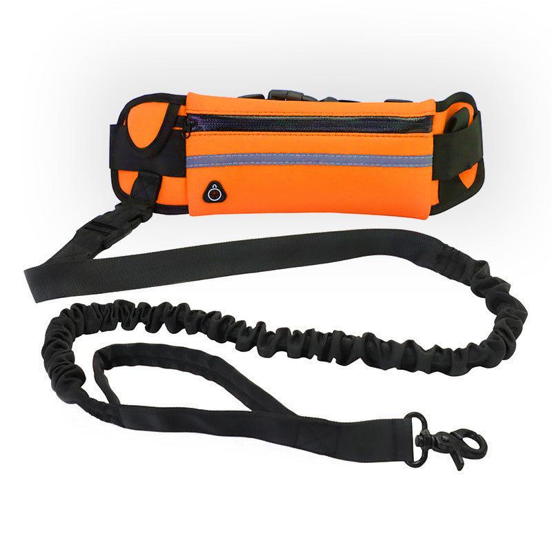 Running dog leads with waist belt in five colours