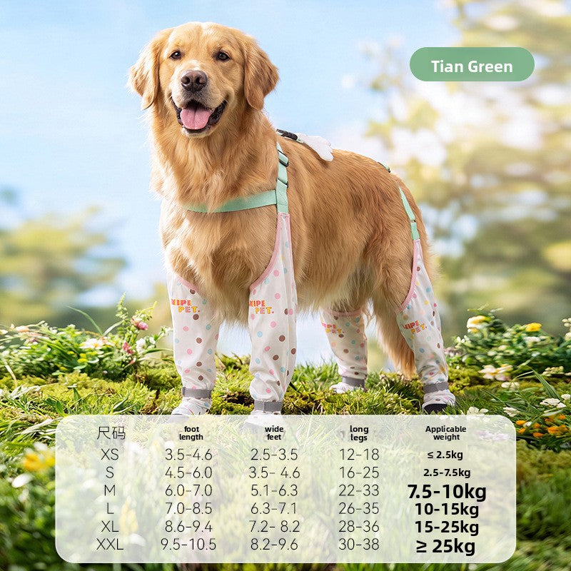 Anti-slip dog shoes with TPE soles and straps, product image 28