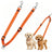 Adjustable Reflective Dual Pet Leash with Metal Buckles