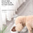 Dual-Bowl Pet Water Dispenser and Food Bowl with Anti-Spill Heart Design