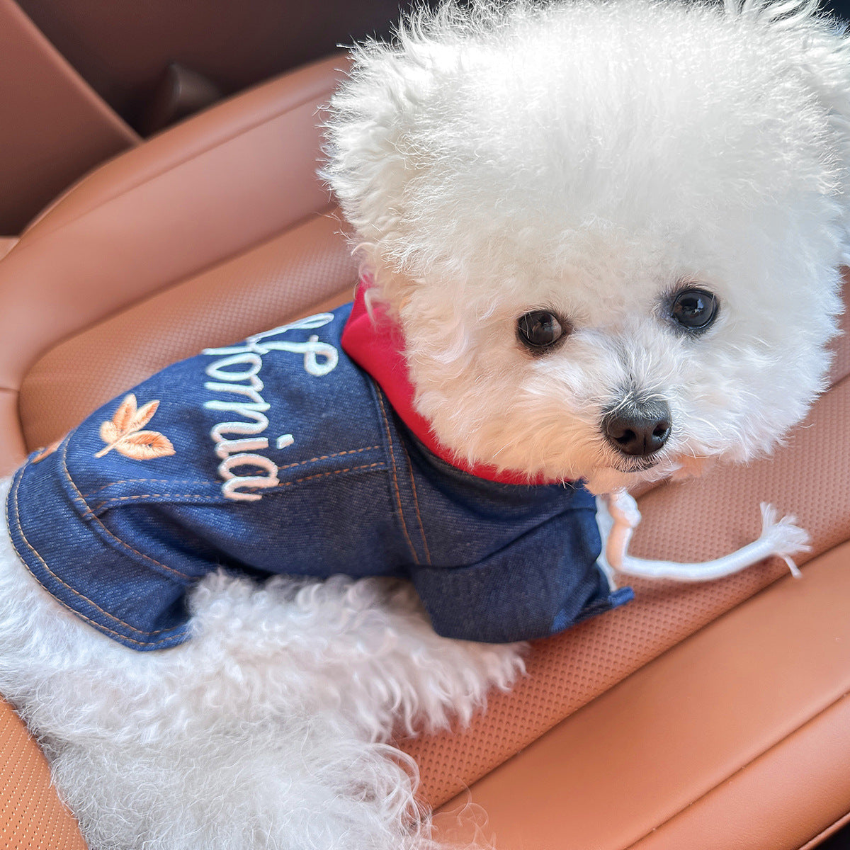 Denim jacket for small dogs and cats, available in 15 colours, image 3