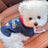 Denim jacket for small dogs and cats, available in 15 colours, image 3
