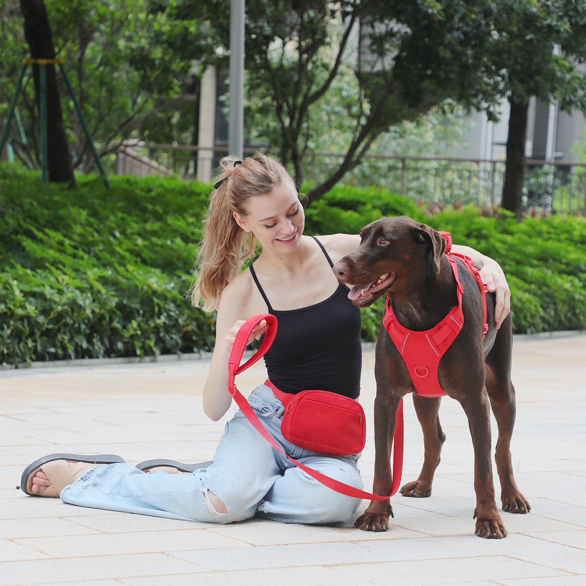 Romantic red corduroy dog harness collar and lead set, ideal for everyday use