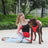 Romantic red corduroy dog harness collar and lead set, ideal for everyday use