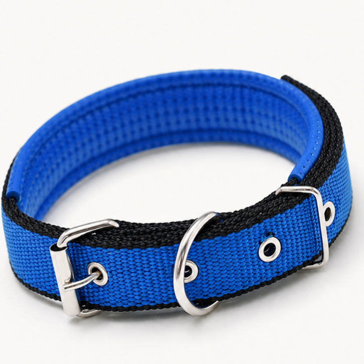 Padded nylon dog collar with foam lining, 5 sizes available