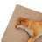Egg crate foam dog mat with washable velvet cover, photo 4 of 25