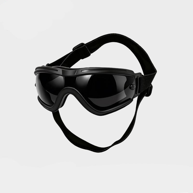 Dog goggles with adjustable straps, ideal for everyday use