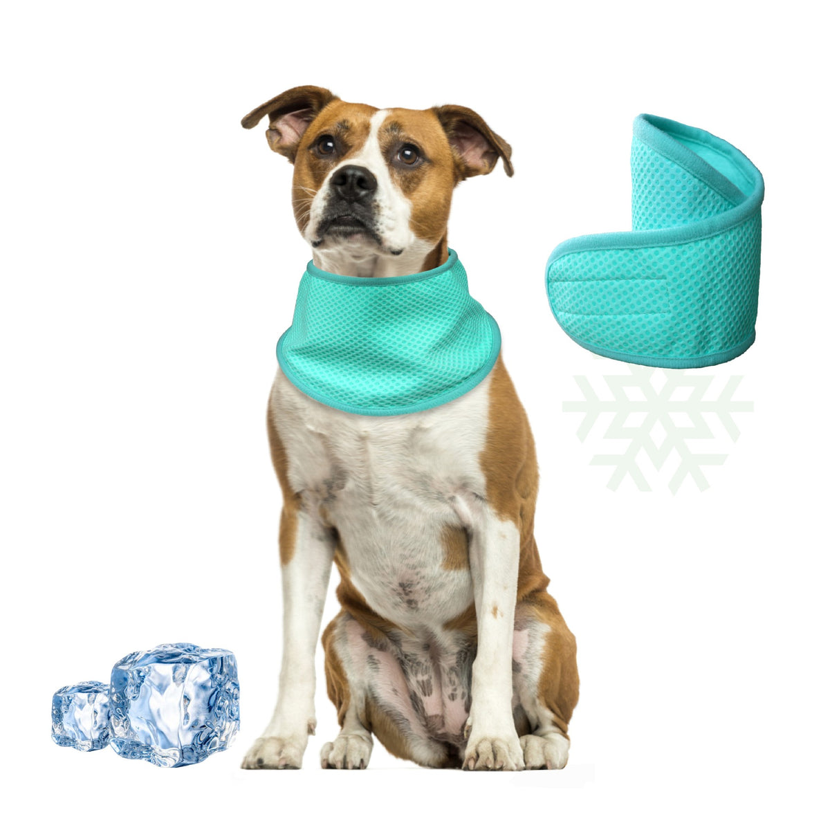Dog wearing a two tone cooling bandana in sky blue