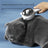 One-Click Spray Comb with Deodorising Mist for Cats and Dogs