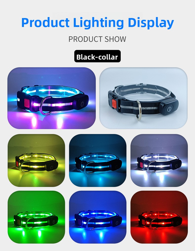 USB rechargeable LED dog collar and lead in Orange Collar Style B, close-up detail