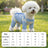 Four leg dust proof dog suit, available in 18 styles, image 55