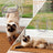 Clear two-way pet door panel for cats and dogs, photo 2 of 7