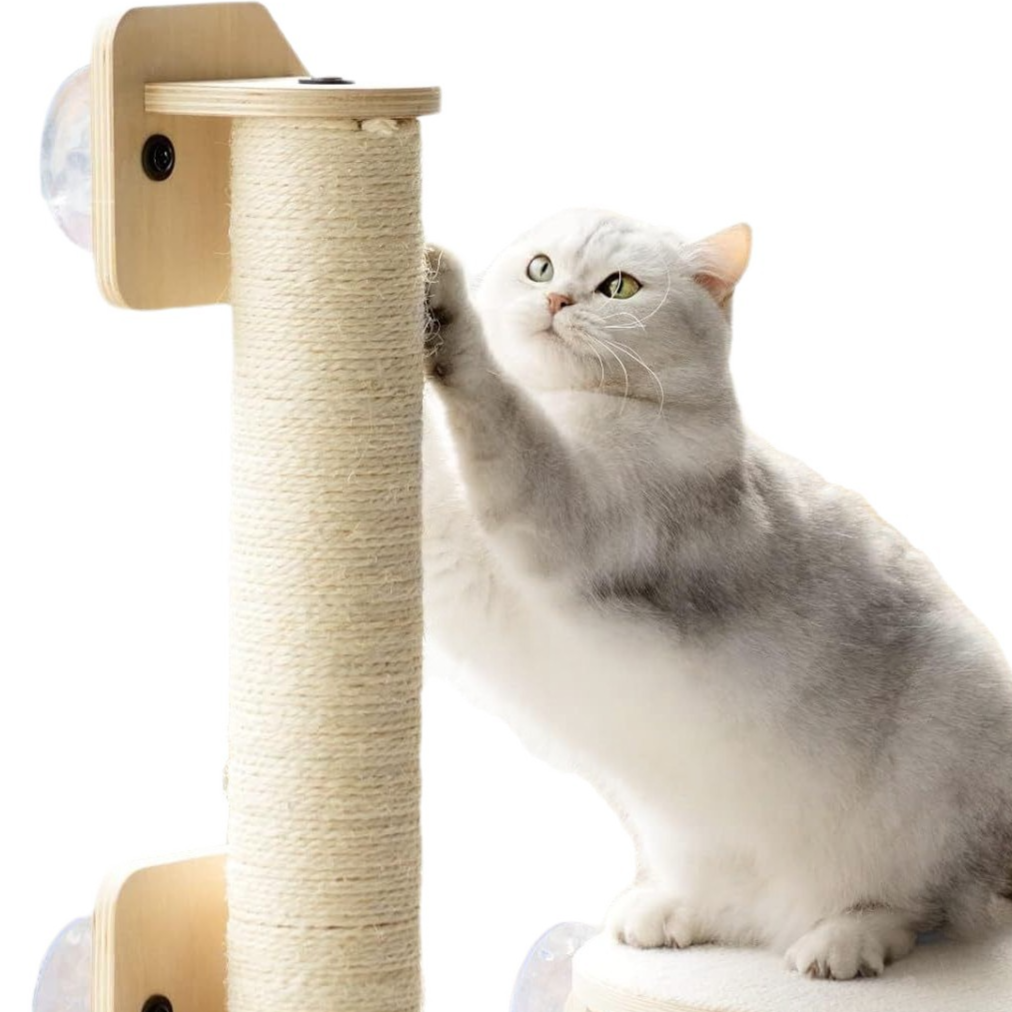 Suction cup wooden cat window platform, product detail photo