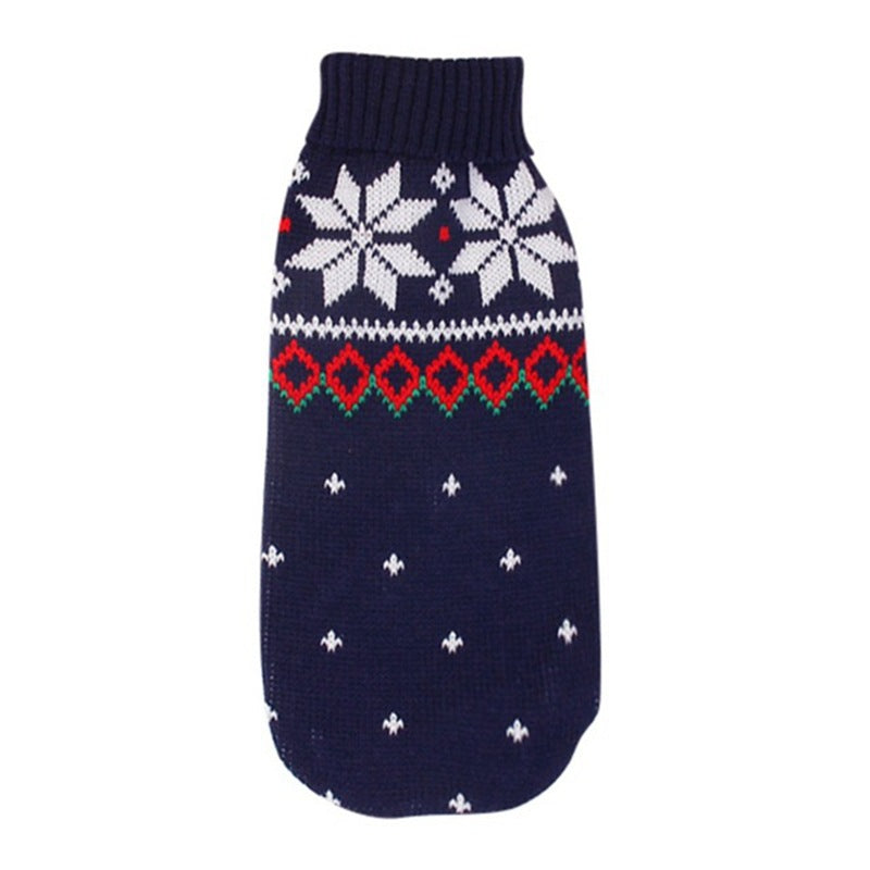 Small dog in a red reindeer knitted Christmas jumper