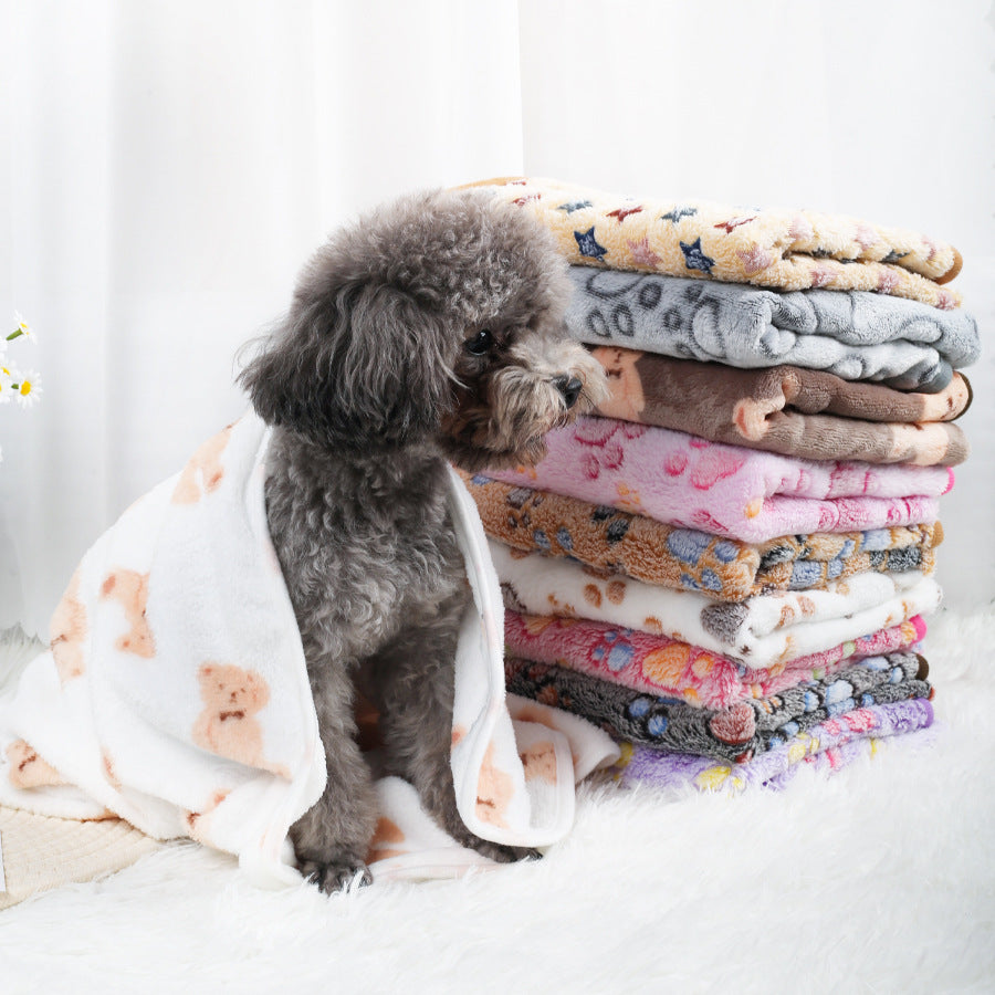 Coral fleece pet blanket with print, main product photo