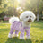 Four leg dog coverall with belly guard, available in 9 styles, image 12