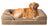 Waterproof dog bed with removable washable cover, photo 13 of 17