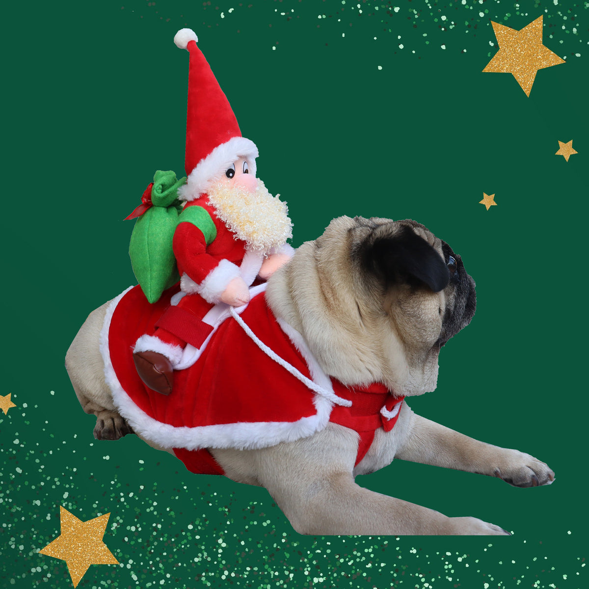 Dog Santa Christmas costume with white beard, in Santa with White Beard, image 1