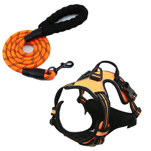Polyester dog harness sets shown in nine bright colours