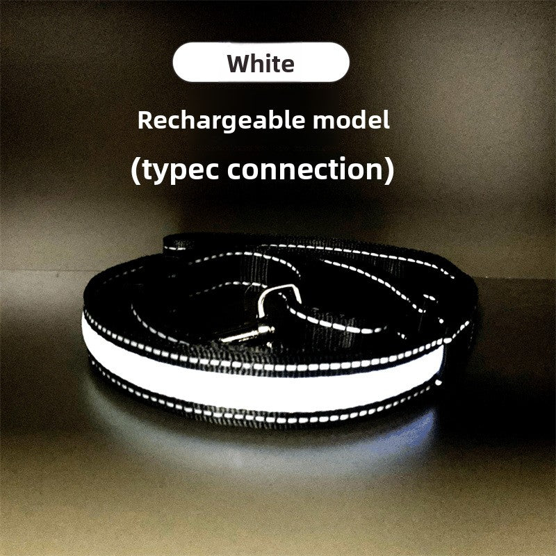 USB rechargeable LED dog collar, ideal for night walks