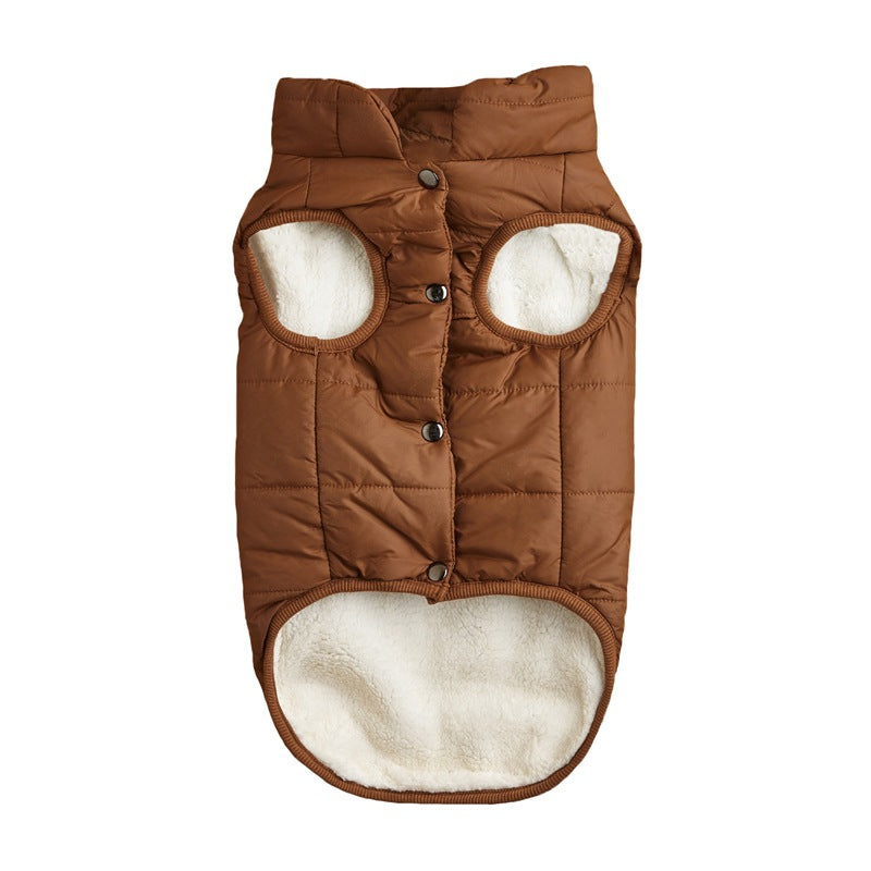 Small dog wearing a bright padded sleeveless gilet