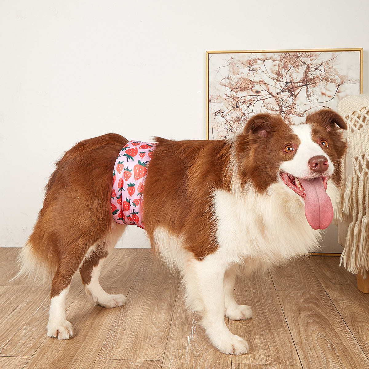 Washable dog diaper pants, available in 19 styles, image 1