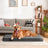 Washable flat dog bed and cat mat in breathable fabric, photo 13